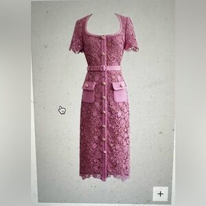 Sierra darien exquisite short sleeve like self-portrait lace midi dress